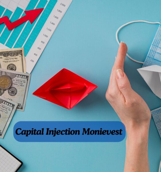 Capital Injection Monievest